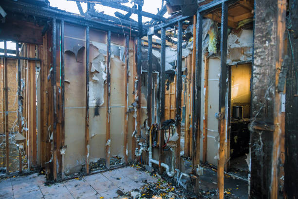 Professional Smoke Damage Removal technician working in Jefferson, TX